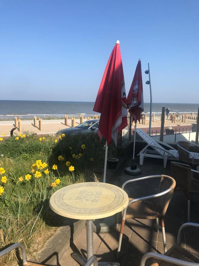 Chalet For 2 At The Beach Zandvoort Extérieur photo